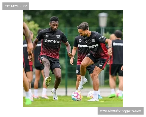 球迷文化研究：德甲会员制俱乐部与社区认同构建